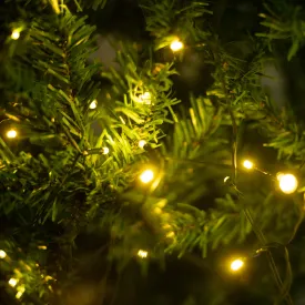 100 Ultra Bright Solar Led Fairy Lights