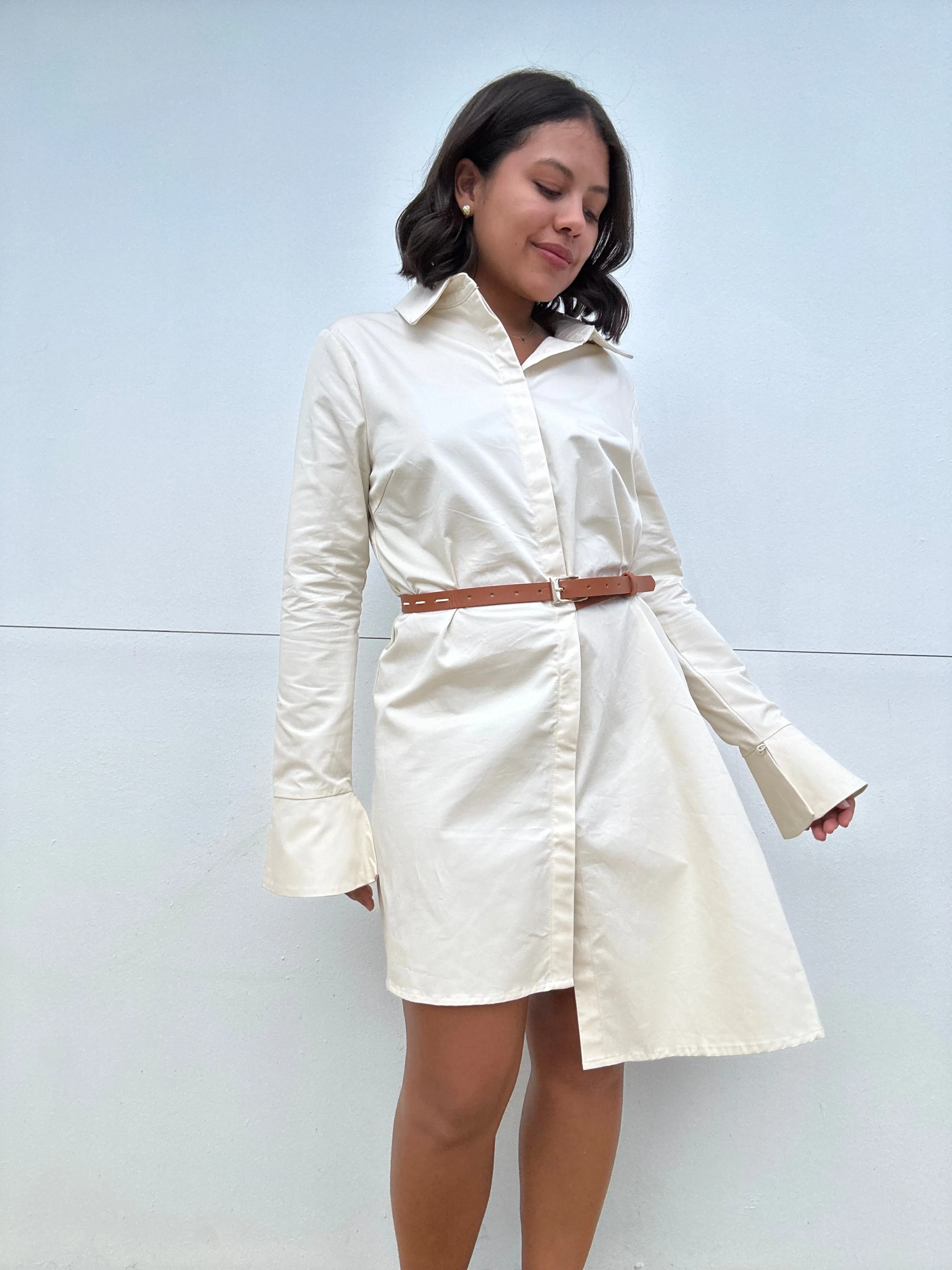 Belted Shirt Dress