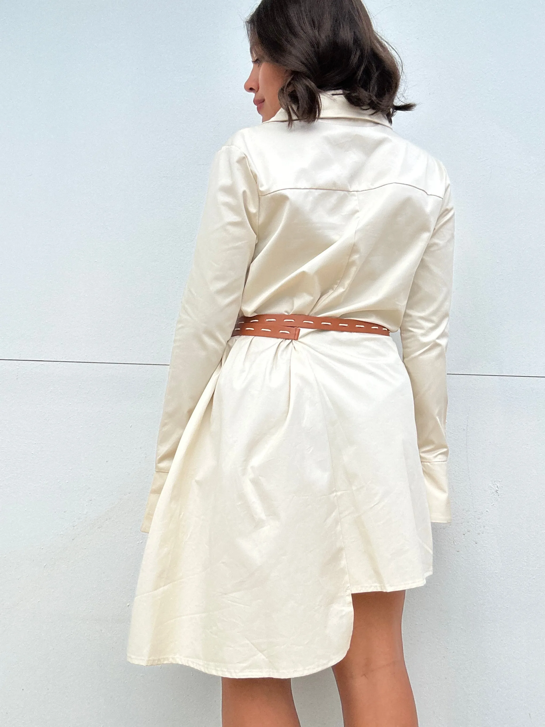Belted Shirt Dress