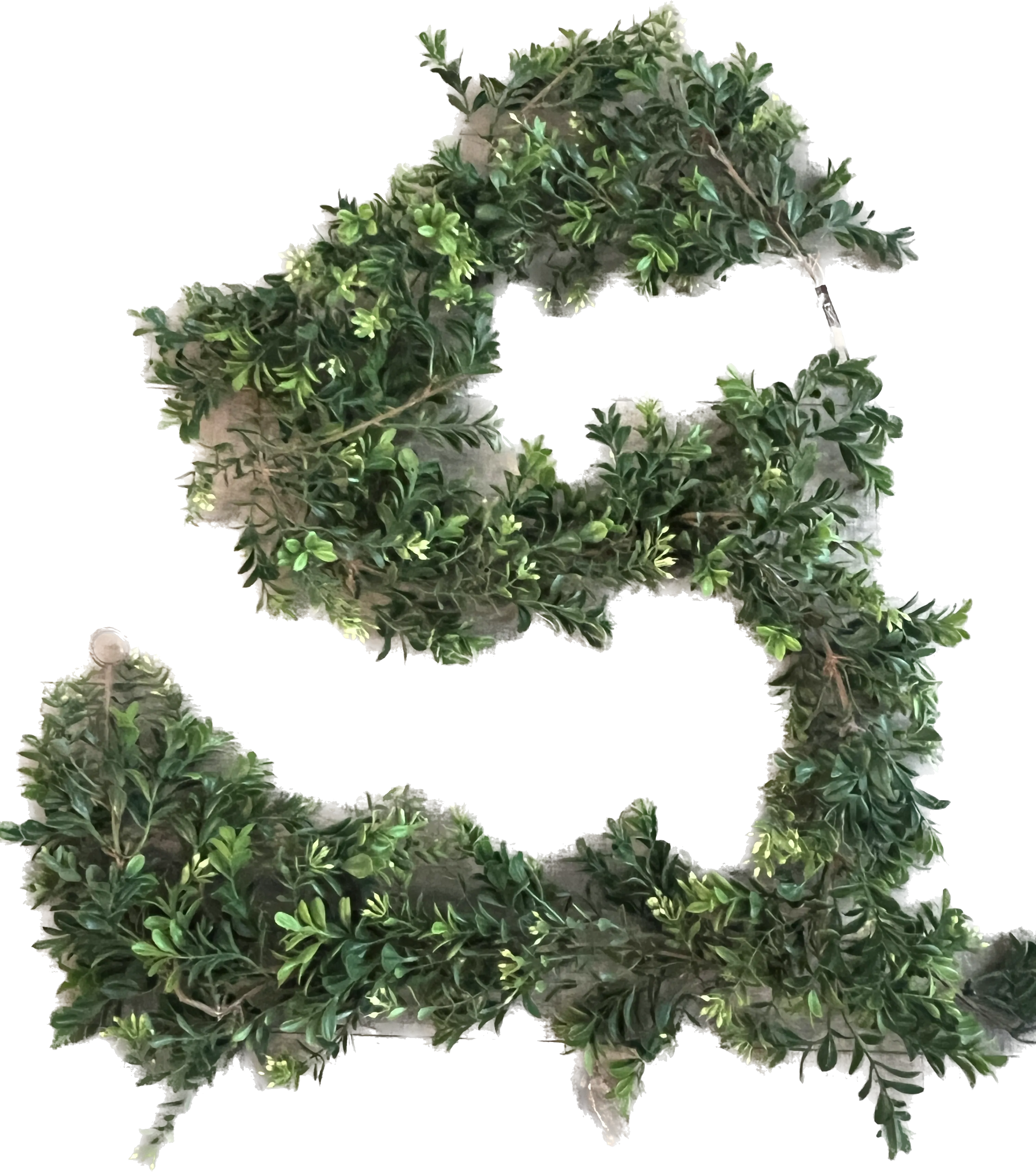 Boxwood Garland
